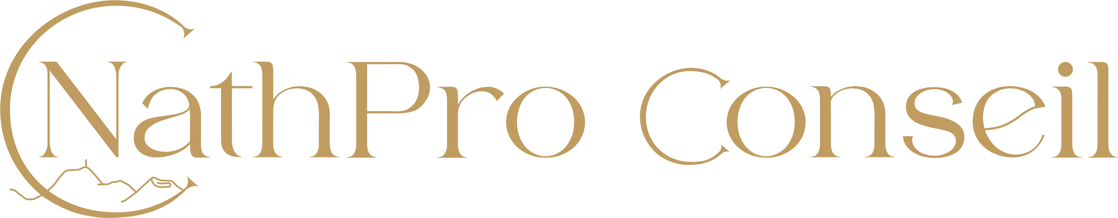 NathPro Conseil